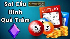 soi cau hinh qua tram 1663919109
