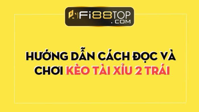 Kèo tài xỉu 2 trái là gì ? Kinh nghiệm khi chơi kèo tài xỉu trong bóng đá