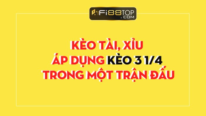 Kèo tài xỉu 3 1 4 là gì mà được nhiều người chơi ưa chuộng nhất hiện nay