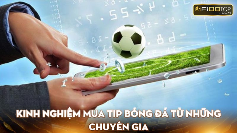 Kinh Nghiệm Mua Tip Bóng Đá Từ Những Chuyên Gia