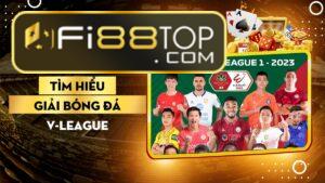 Giải bóng đá V-League